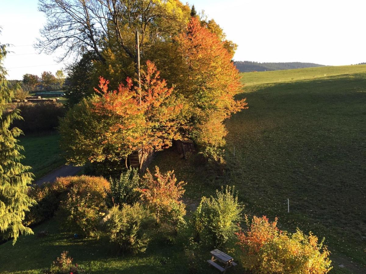 Ferienwohnung Im Hambach Bad Berleburg Kültér fotó